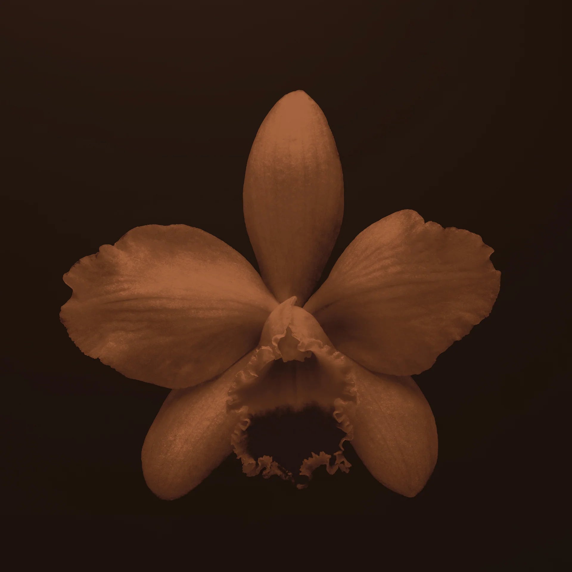 BDK PARFUMS - VANILLE CAVIAR EAU DE PARFUM 3.4 oz UNISEX