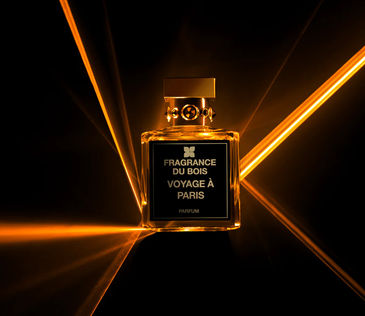 Fragrance Du Bois VOYAGE À PARIS Parfum 3.4 oz Unisex
