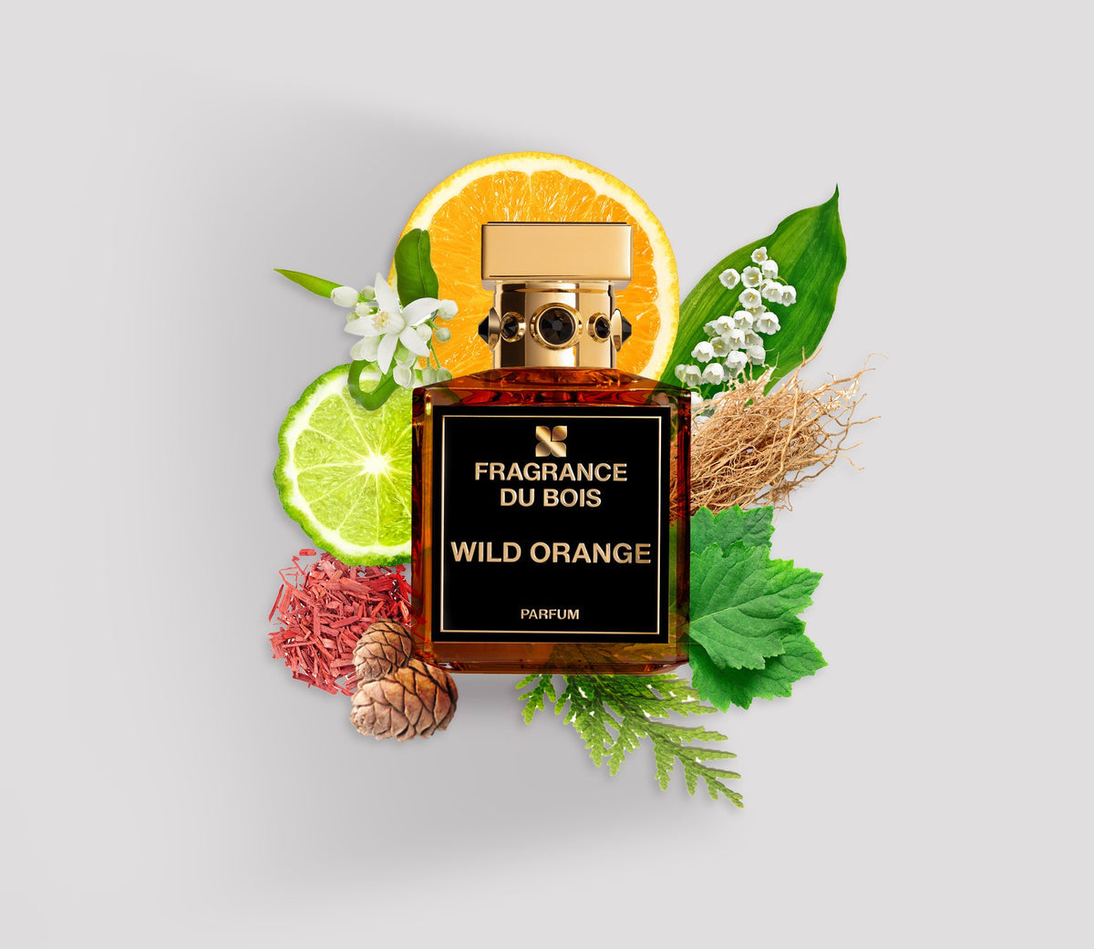 FRAGRANCE DU BOIS - WILD ORANGE PARFUM 3.4 oz UNISEX – HDYS Parfums
