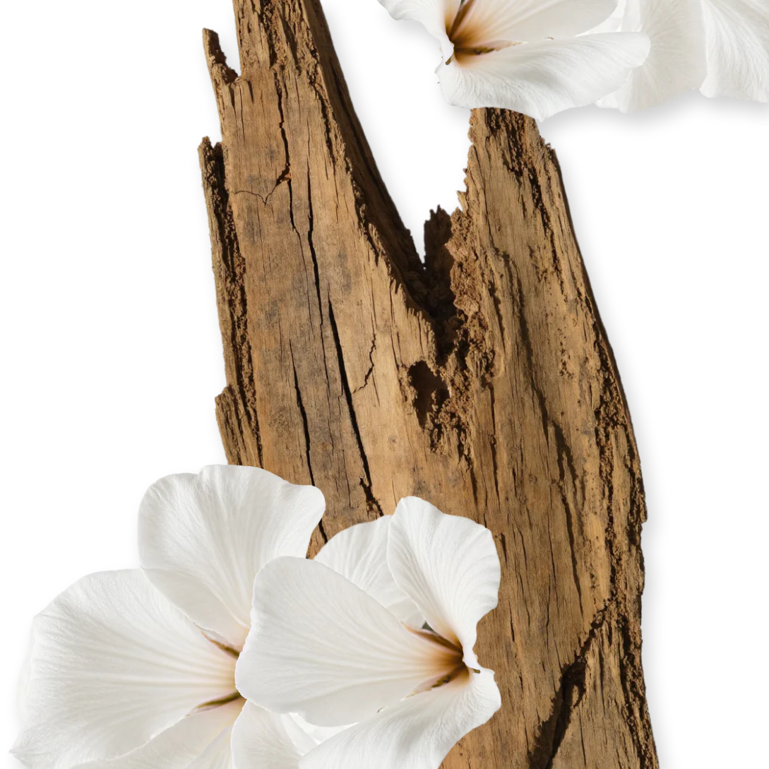 PARFUMS DE MARLY - VALAYA BODY CREAM EAU DE PARFUM 200 ML FOR WOMEN