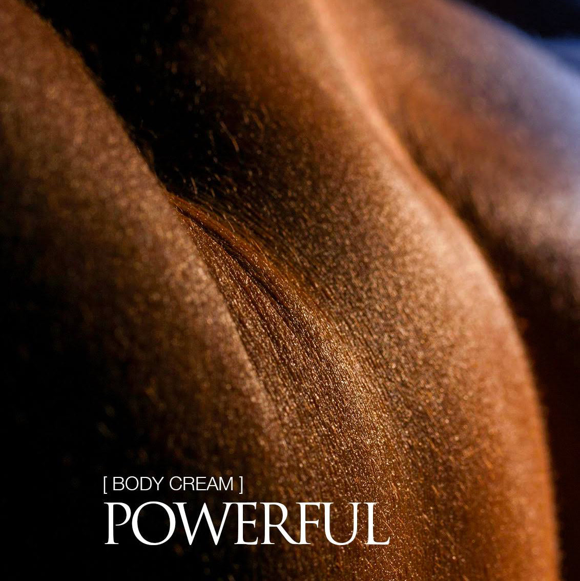 Close-up of a horse's muscular back with 'Body Cream Powerful' text overlay.