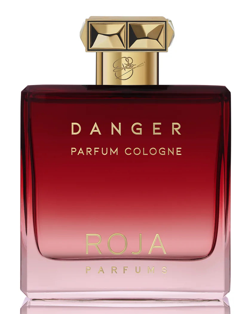 Roja Danger Pour Homme Parfum Cologne 3.4 oz For Men